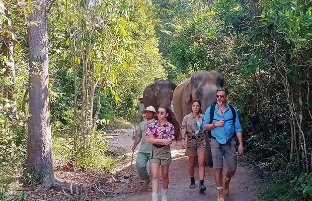 Kulen Elephant Forest by Private Tour