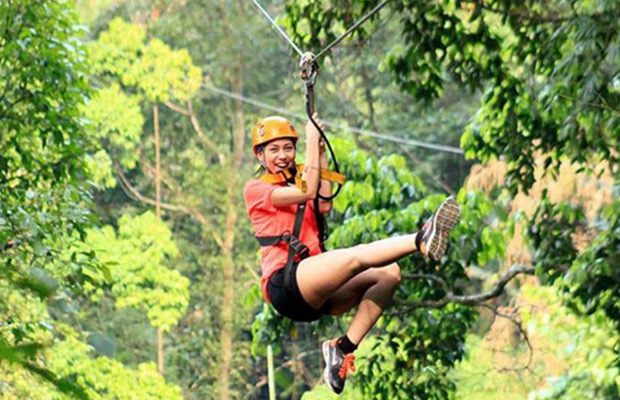 flight of gibbon at angkor