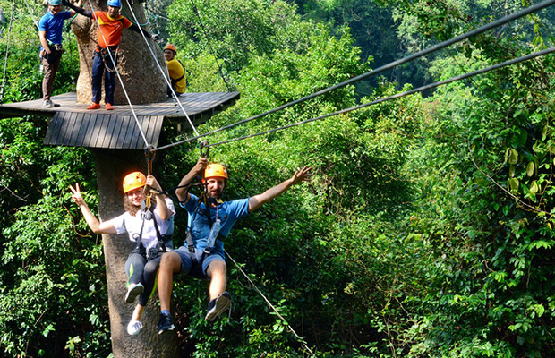 flight of gibbon at angkor