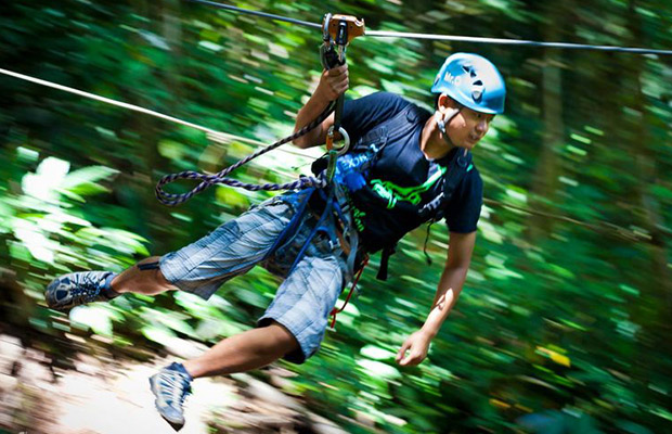 flight of gibbon at angkor