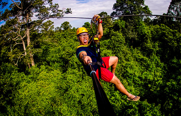 flight of gibbon at angkor