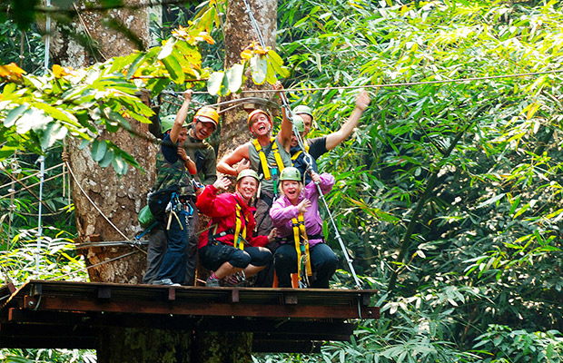 flight of gibbon at angkor