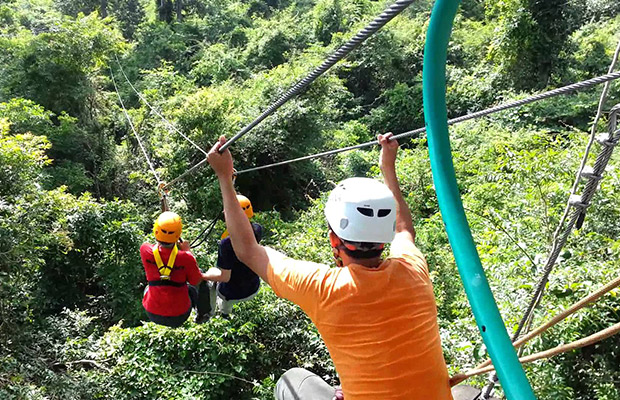 flight of gibbon at angkor