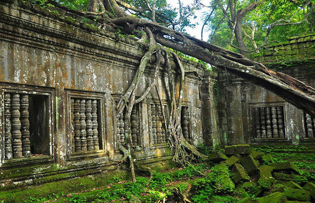 Beng Mealea Temple Cambodia