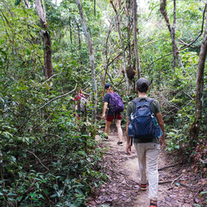 Phnom Kulen National Park Trekking Tour from Siem Reap