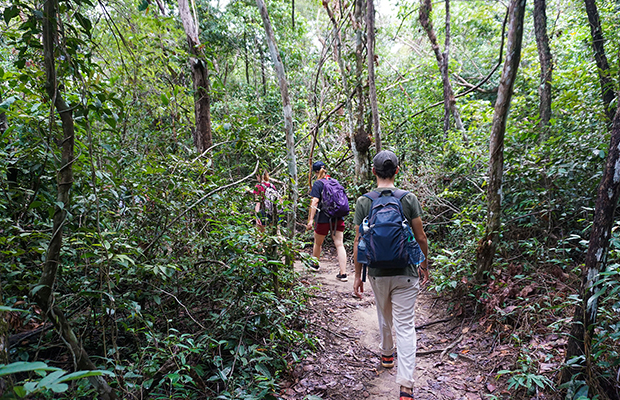 Phnom Kulen National Park Trekking Tour from Siem Reap