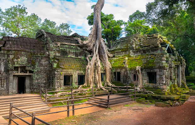 Ta Prohm Temple Cambodia