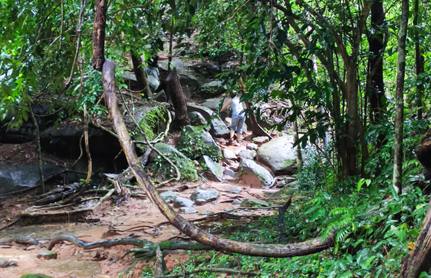 Trekking, Hiking to Kbal Spean and Banteay Srei Temple Private Tour