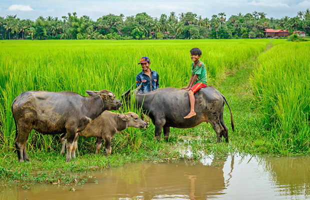 Ultimate Countryside Bike and Local Village Life Tour