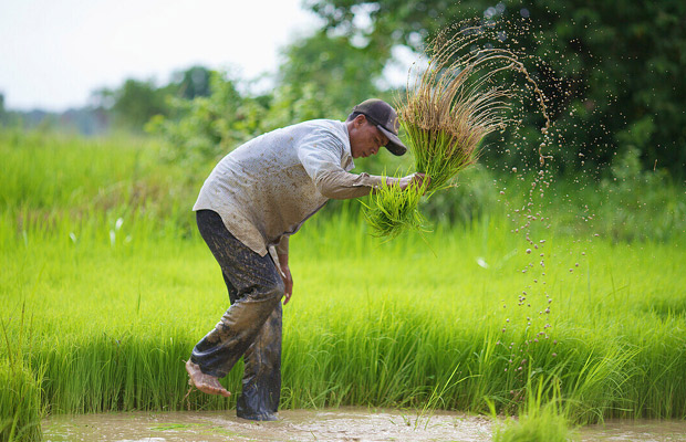 Cycling around Battambang's Village & Countryside with Local Dinner