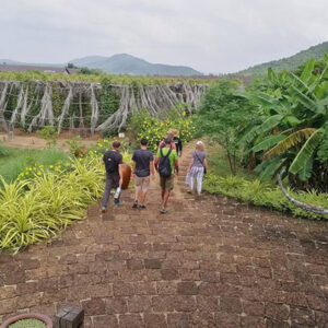 Kampot Countryside, Pepper Farm and Kayaking Day Trip